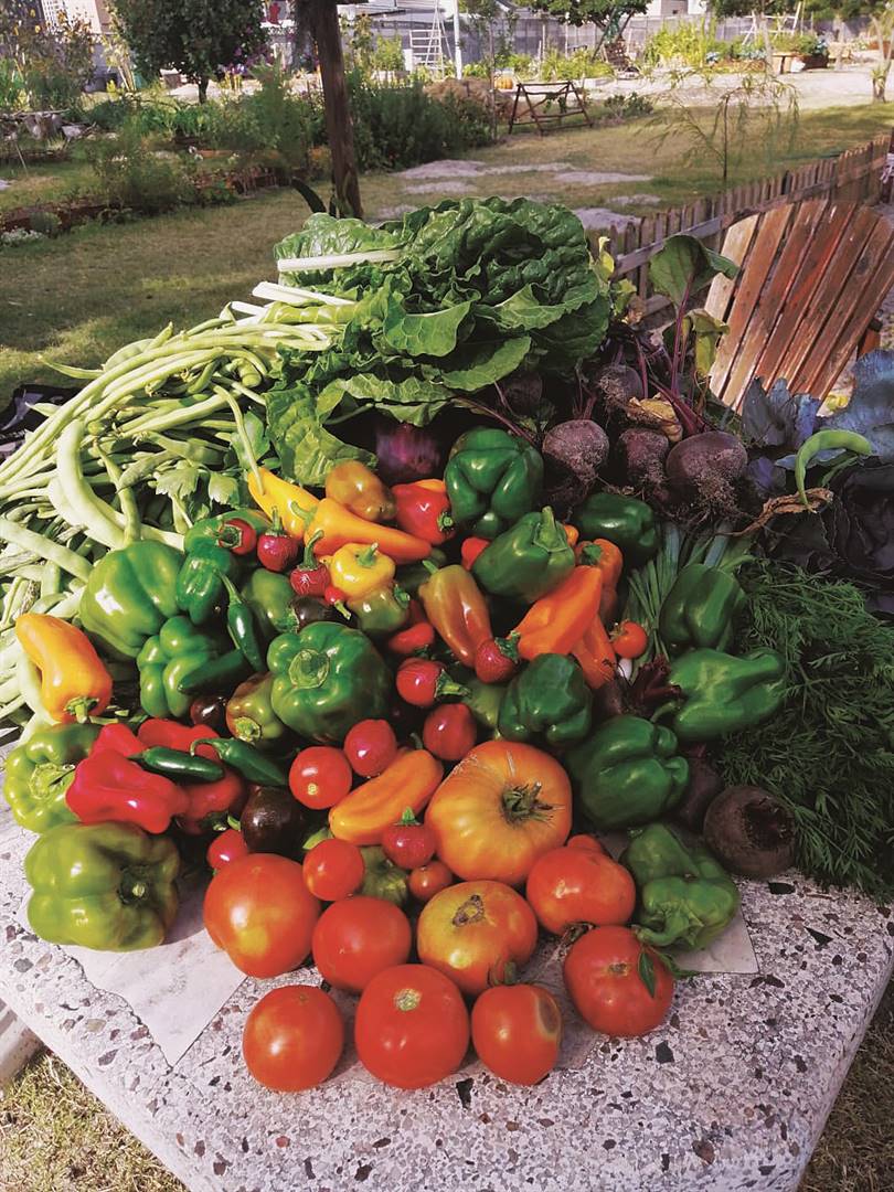 A sprawling community vegetable garden in Brackenfell is leading the way for urban farming in the suburb. 