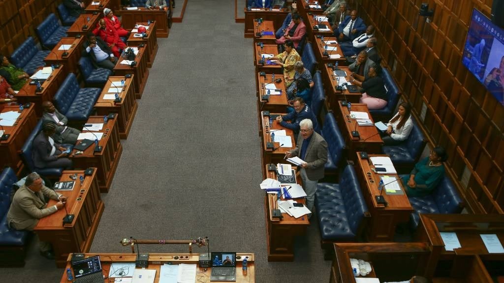 Western Cape legislature to usher in new faces in major shake-up | News24