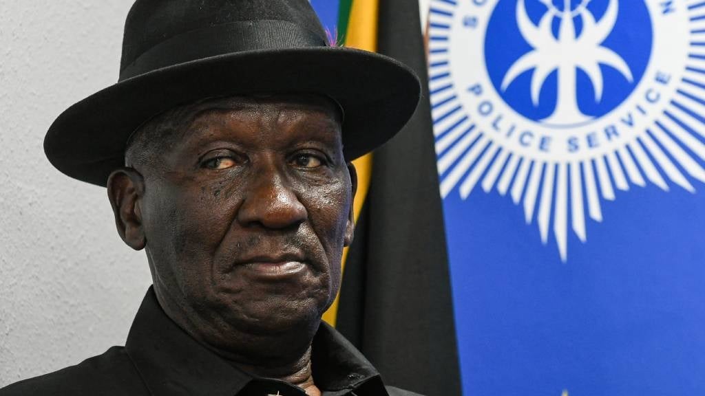 Bheki Cele used taxpayer funds to pay for his assistant's trip to the Rugby World Cup. (Darren Stewart/Gallo Images)