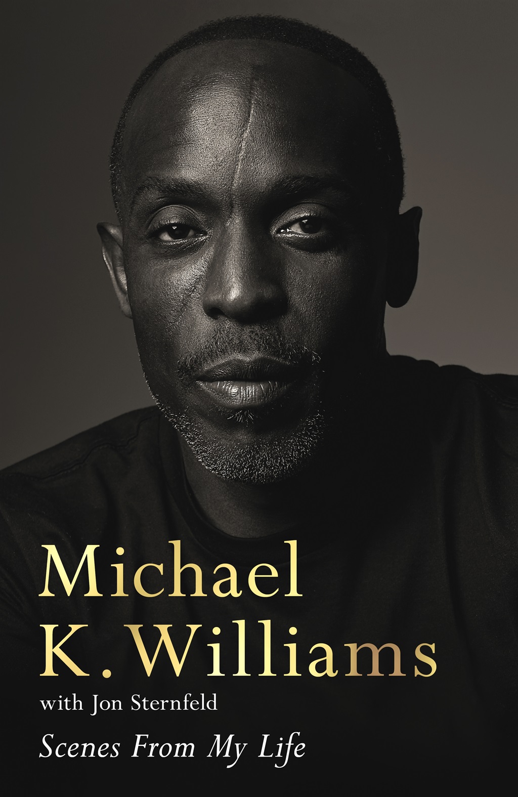 Scenes From My Life by Michael K. Williams and Jon Sternfield (Pan Macmillan)