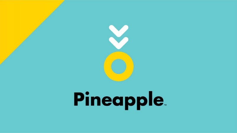 New kids on the block, Pineapple Insurance, want to change how the public perceive insurance.Picture: Supplied