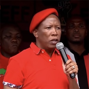 EFF leader Julius Malema. (Screengrab)
