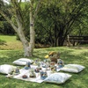 Picnic in style with Tjhoko Paint