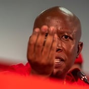 SARS trying to inflict pain on me through my family - Malema