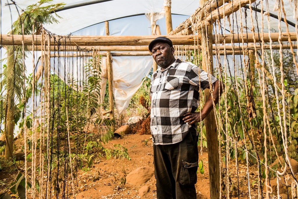 Up in smoke: The black tobacco farmers British American Tobacco left behind 