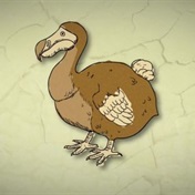 WATCH | A billion dollar startup wants to bring back the Dodo
