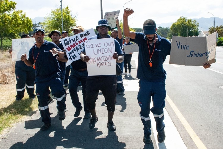 Some Distell workers in Stellenbosch picketed on Monday demanding that the company recognise their union Solidarity. Distell says membership numbers are too low for recognition. 