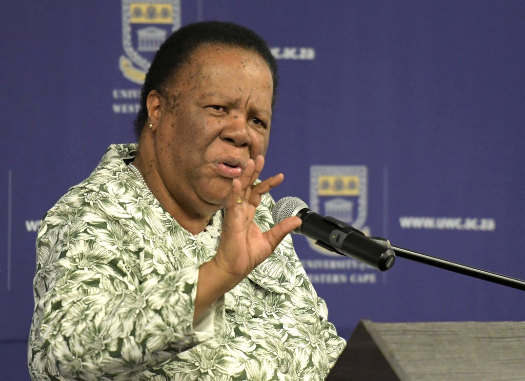 Minister of Higher Education Naledi Pandor. Picture: Gallo Images/Jeffrey Abrahams