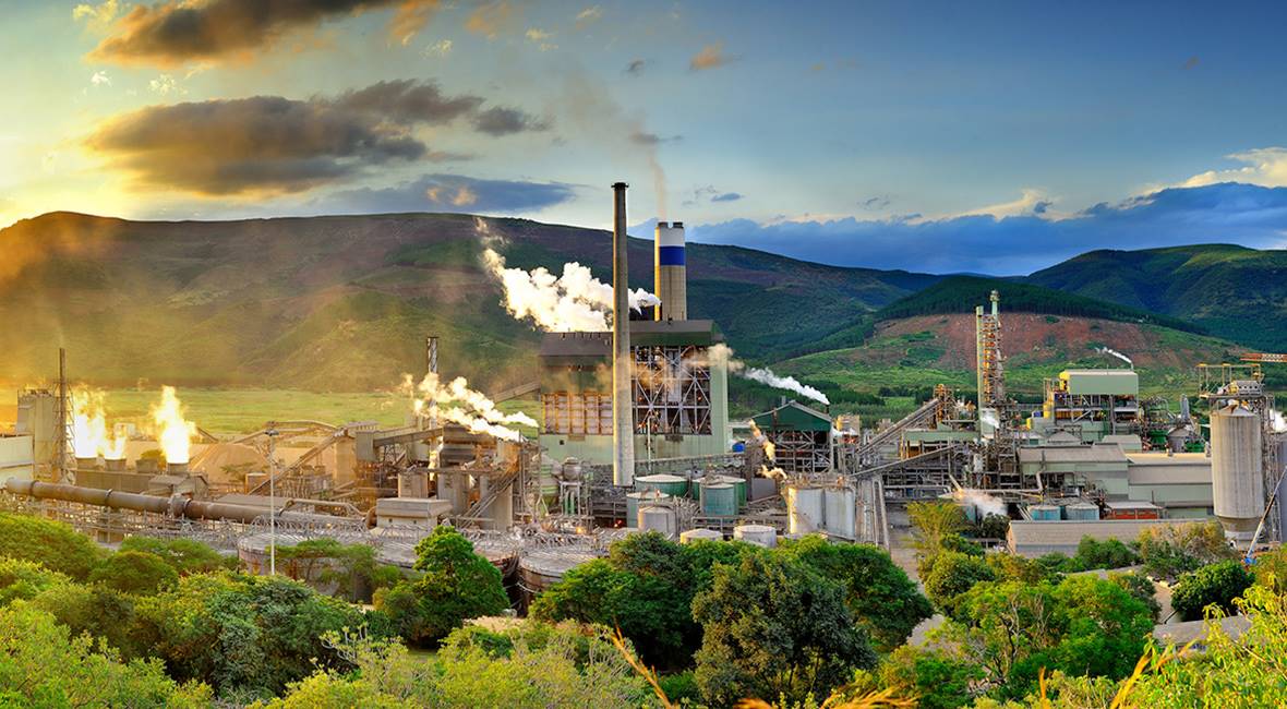 Sappi's Ngodwana paper mill in Mpumalanga.  (Supplied/Sappi)
