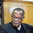 Buthelezi calls for arms cache disclosure