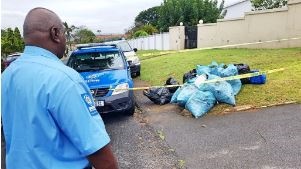 Two foetuses were discovered lying between refuse bags in Durban North