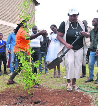 Sizakele Nkosi-Malobane helps plant a tree at Ikhaya Lethemba in Evaton.  Photo by Sthembiso Lebuso