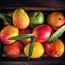 Mangoes prove why they are considered the 'king of fruits'