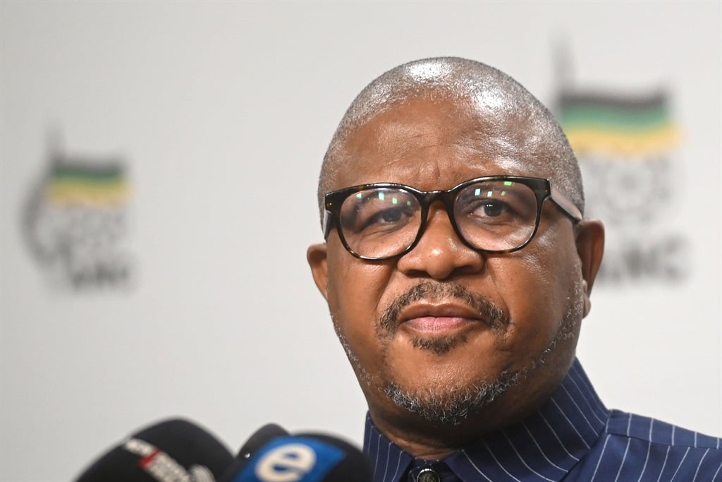 ANC secretary-general Fikile Mbalula told City Press that the new ministry was created as a special intervention. Photo:  Deaan Vivier