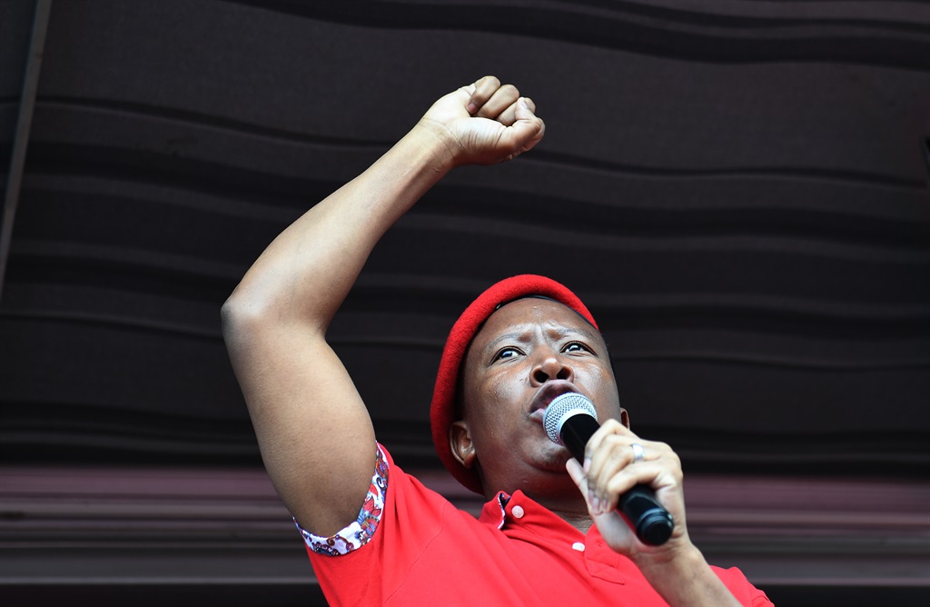 Julius Malema, EFF leader. Photo: Archive