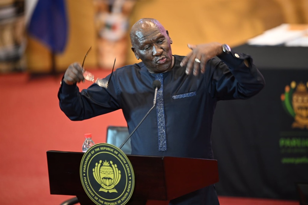 News24.com | Dlamini and Cele exchange insults at SONA debate over alleged assassination plot
