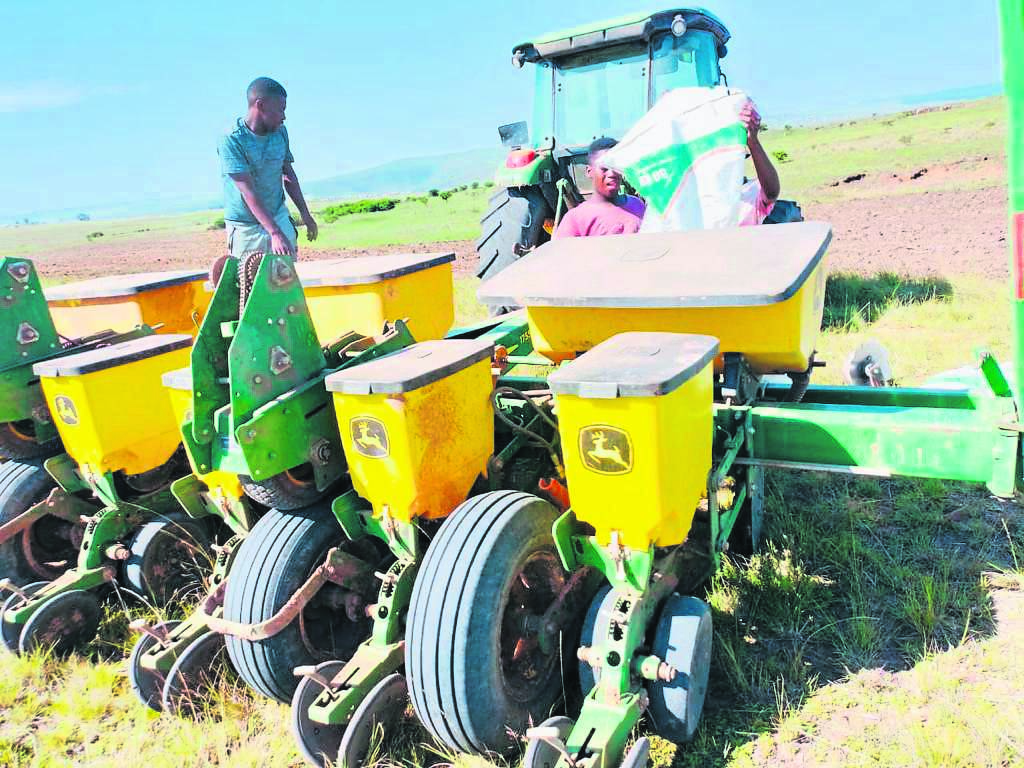 Ntinga OR Tambo Development agency is on a mission to plant maize in over 300 hectares of land belonging to emerging farmers within the OR Tambo district.
