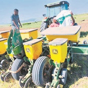 Maize project set to boost food security under OR Tambo district