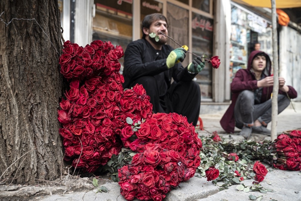 Afghan vendors selling roses wait for customers along the street on Valentine's Day in the Shar-e-Naw area of Kabul on 14 February.