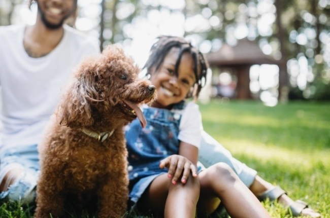 It’s a good idea to take out pet insurance and to have a rainy-day fund for unexpected expenses. Budget for regular veterinary visits and proactive treatments such as a regular tick and flea regime to circumvent problems down the line.