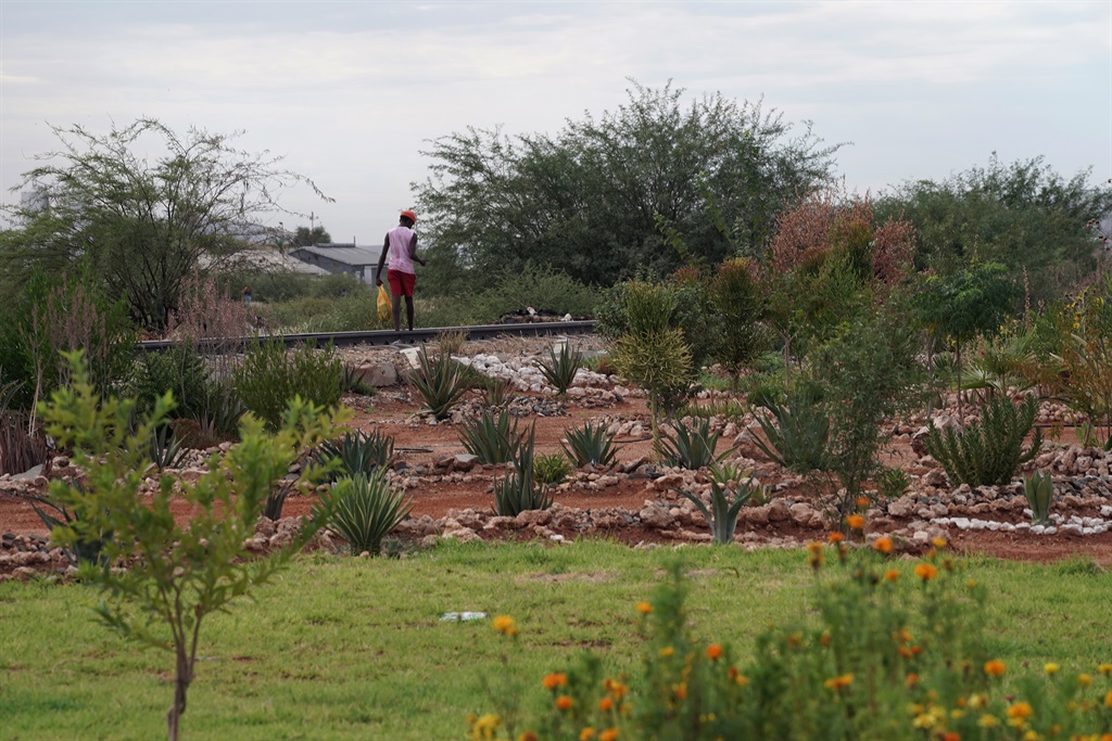 ON THE ROAD | Green-fingered Upington residents are transforming their community for a better life | News24