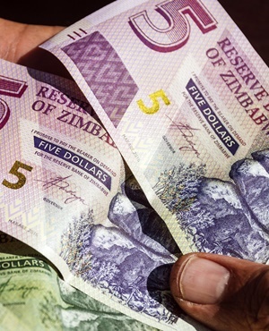 Zimbabwean dollar bond banknotes. (Photographer: Waldo Swiegers/Bloomberg)
