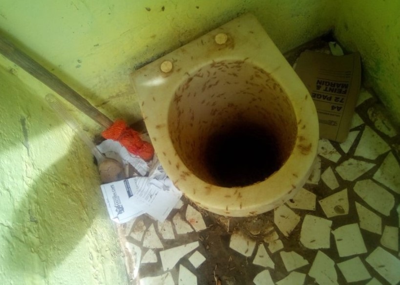 News24.com | Maggots have taken over the toilets in this neglected small town in Makana