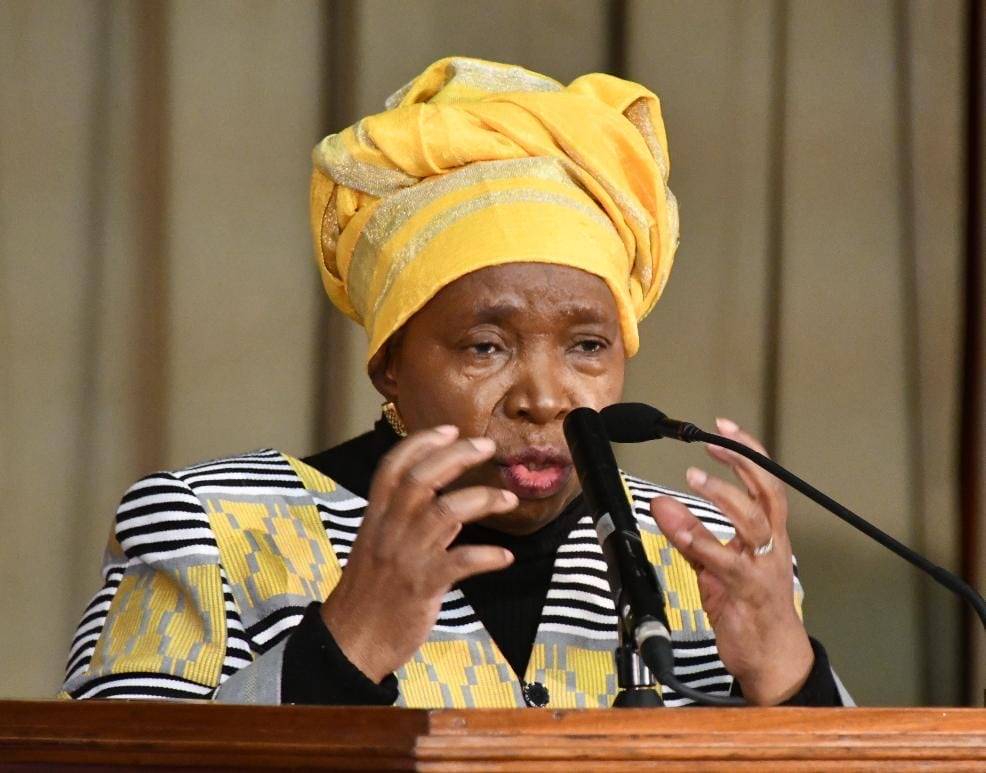 Former cooperative governance and traditional affairs minister Nkosazana Dlamini-Zuma.