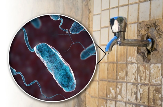 Illustration of bacteria Vibrio cholerae in a drop of water from an old street tap. Cholera is a bacterial disease usually spread through contaminated water. Cholera causes severe diarrhoea and dehydration, says the NICD. Left untreated, it can be fatal in a matter of hours, even in previously healthy people. 