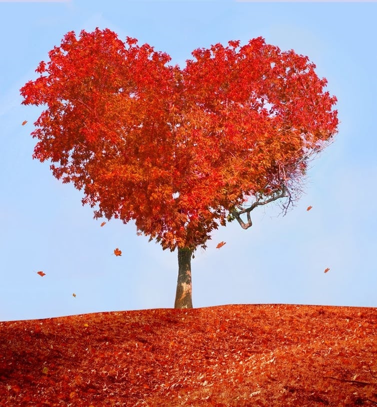 Love is grown, not found. LilKar/Shutterstock.com