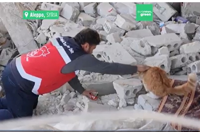 WATCH | Volunteer travels 100 km a day to rescue animals in earthquake-hit  northwest Syria | News24