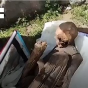 WATCH | Peru police find pre-Hispanic mummy in ex-delivery man's bag