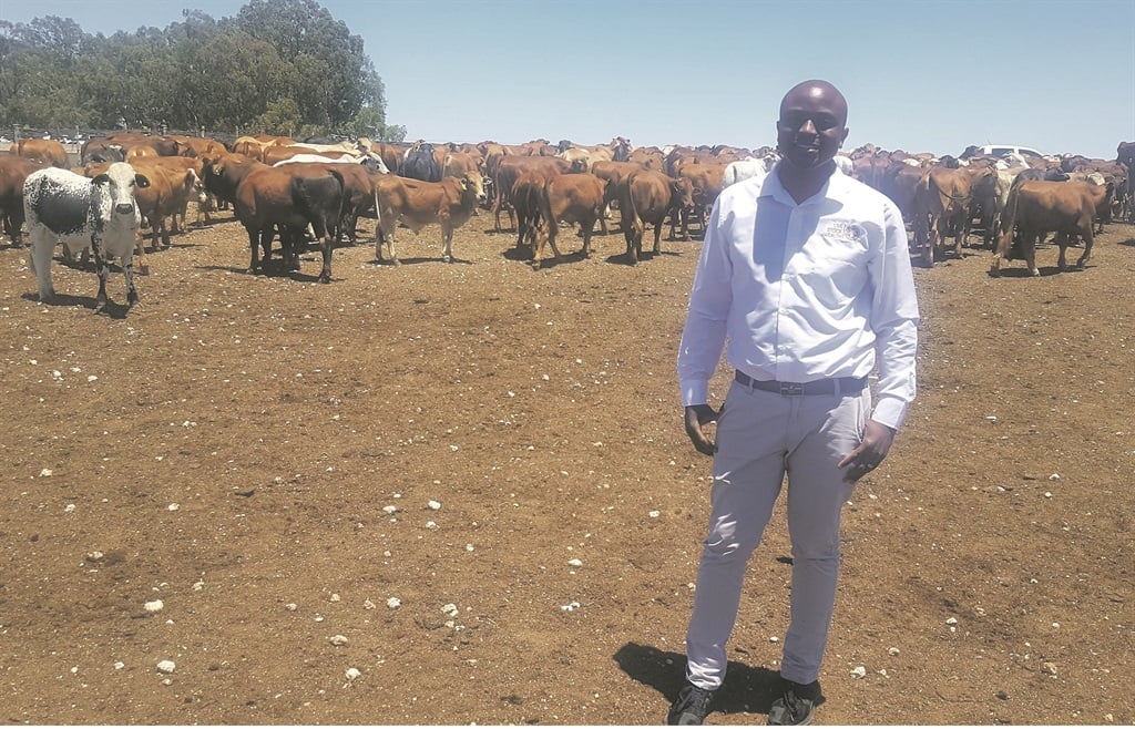 Ntuthuko Shezi, the CEO of Livestock Wealth, visits a beef farm in Senekal in the Free State