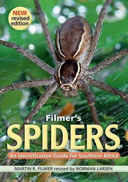 Filmer's Spiders: An Identification Guide For Sout