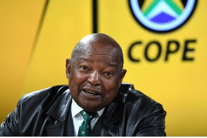 Cope leader Mosiuoa Lekota and Mbhazima Shilowa should take the blame for what happened to the party, argues the writer.  (Deaan Vivier, Netwerk24)