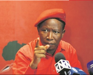 EFF leader Julius Malema 