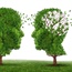 Education no match for Alzheimer's