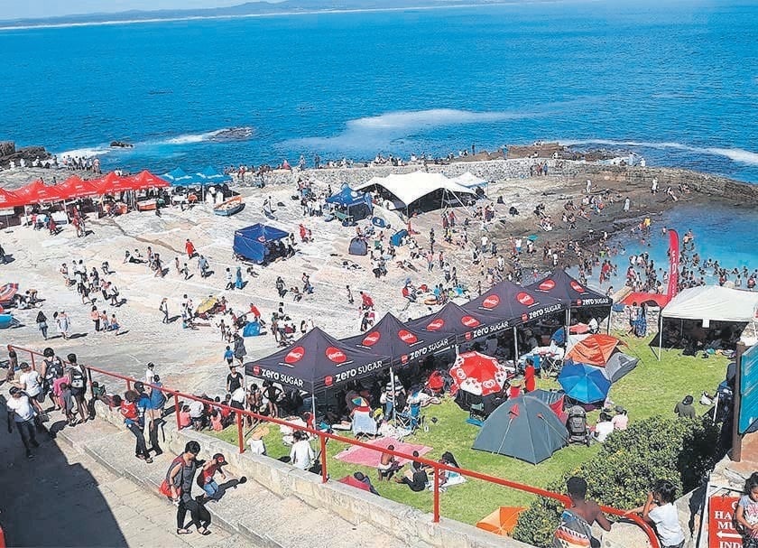 Plans on the board for Hermanus Whale Festival | News24