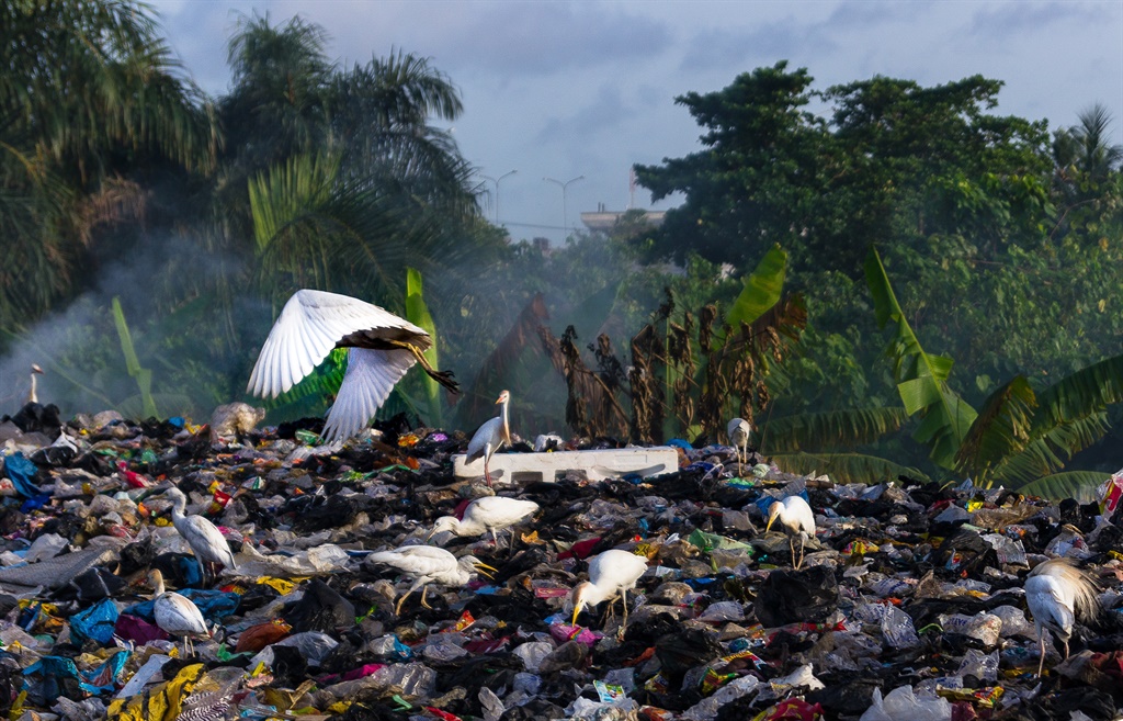 A landfill with our waste