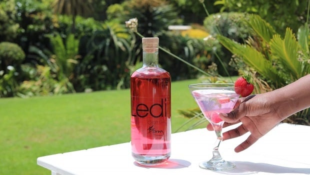 Naledi plans to take the world by storm with her own brand of gin.