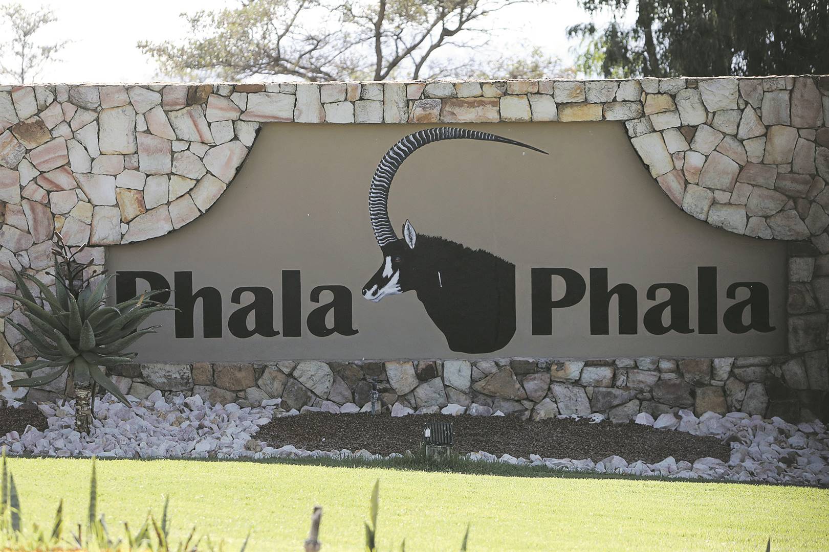 Parliament has rejected the Democratic Alliance's motion to look into the Phala Phala matter.  Photo: AP