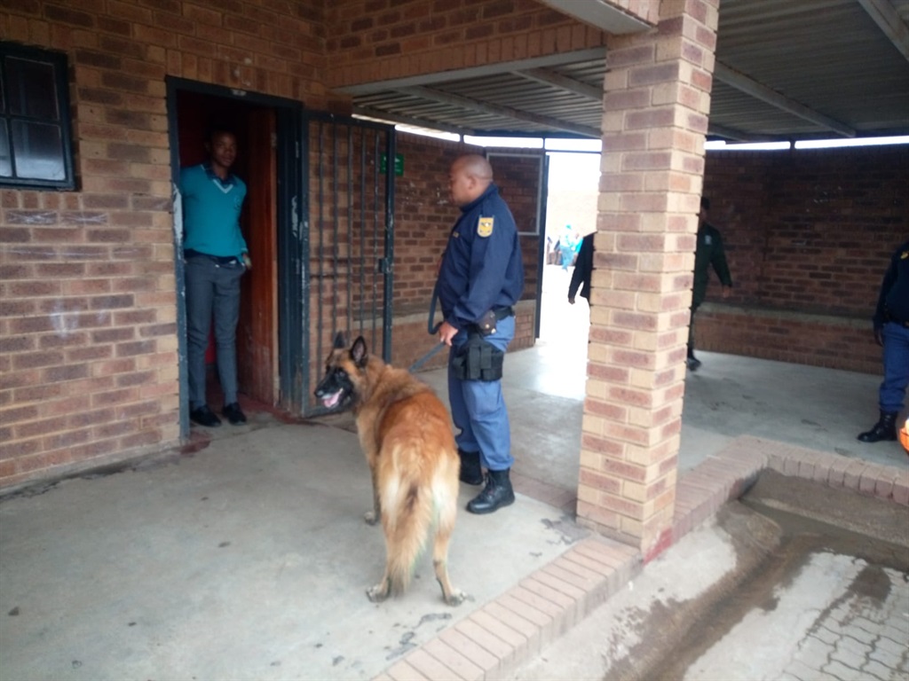 Police and a sniffer dog during the search at Etwatwa school. Photo by Phineas Khoza