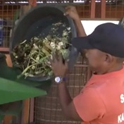 WATCH | Waste pickers help combat climate change