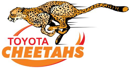 Toyota Cheetahs XV