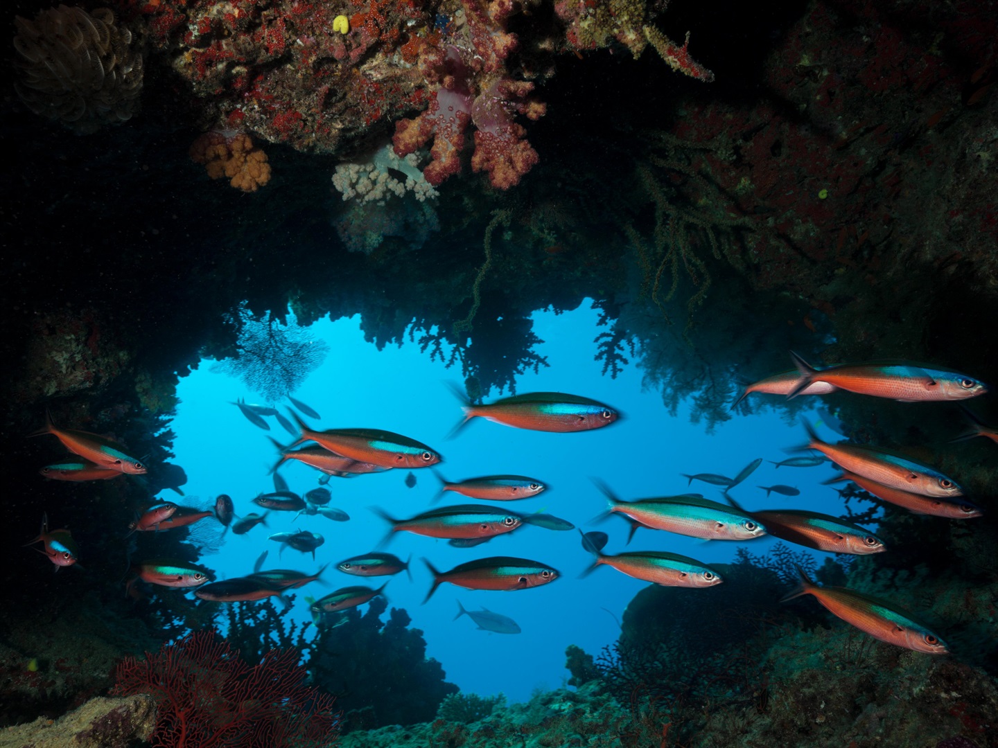 20 stunning photos of underwater caves around the world | Businessinsider