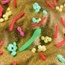 Could gut bacteria be linked to dementia risk?