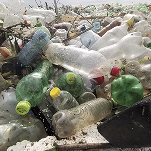 Plastic waste that washed up in Durban on 11 March 2019 following heavy rain. Picture: Supplied/Hanno Langenhoven