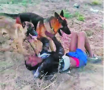 The sight of a man being attacked by dogs has angered many people.