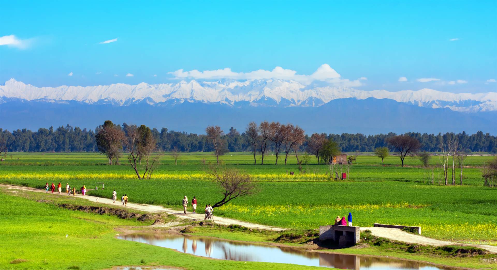 Noudat die lug skoon is, sien inwoners van Pakistan deesdae die Himalajas duidelik. Foto: SYED MEHDI BUKHARI