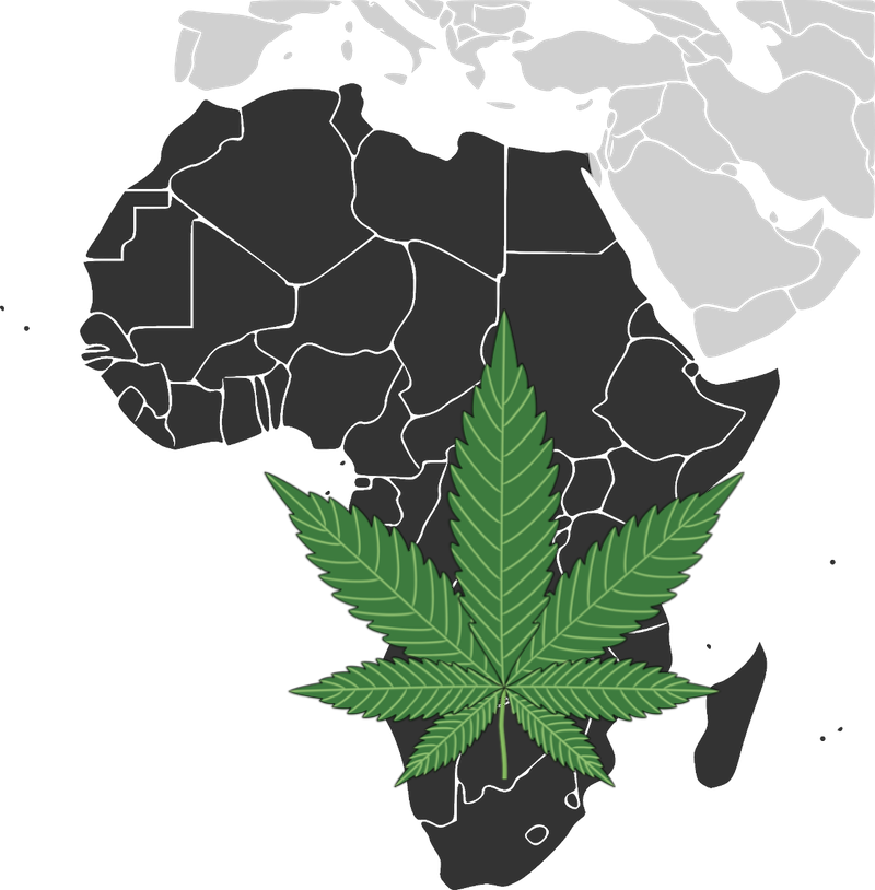 Africa cannabis